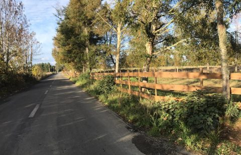 Proyecto inmobiliario de parcelas en Máfil