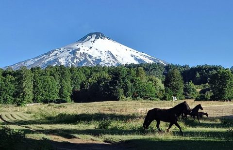 Parcelas exclusivo sector Los Riscos Pucón