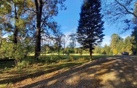 Parcelas sector Candelaria, Pucón