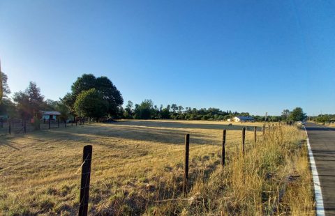 8 Parcelas en Máfil