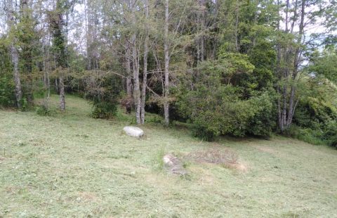 Terreno en Panguipulli