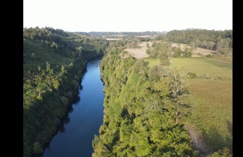 Proyecto Riberas de Río Bueno, Parcelas con orilla de río sector Pindaco camino a Lago Ranco