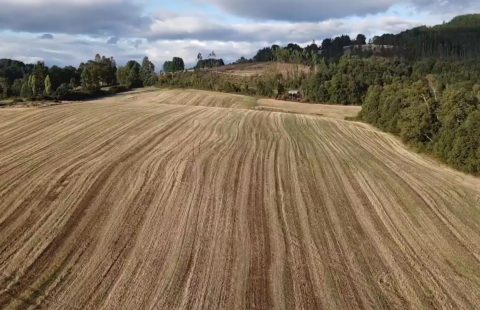 Proyecto Lomas de Paillaco