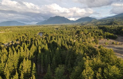 Proyecto Riberas de Ensenada